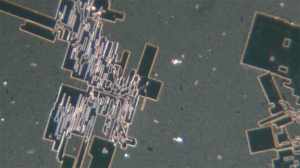 Micro Chips froming in Vial Contents